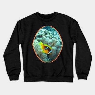 fish, cute fish, free fish, coral fish, fish coral, goldfish, pez, peces, pez colar, peces coral Crewneck Sweatshirt